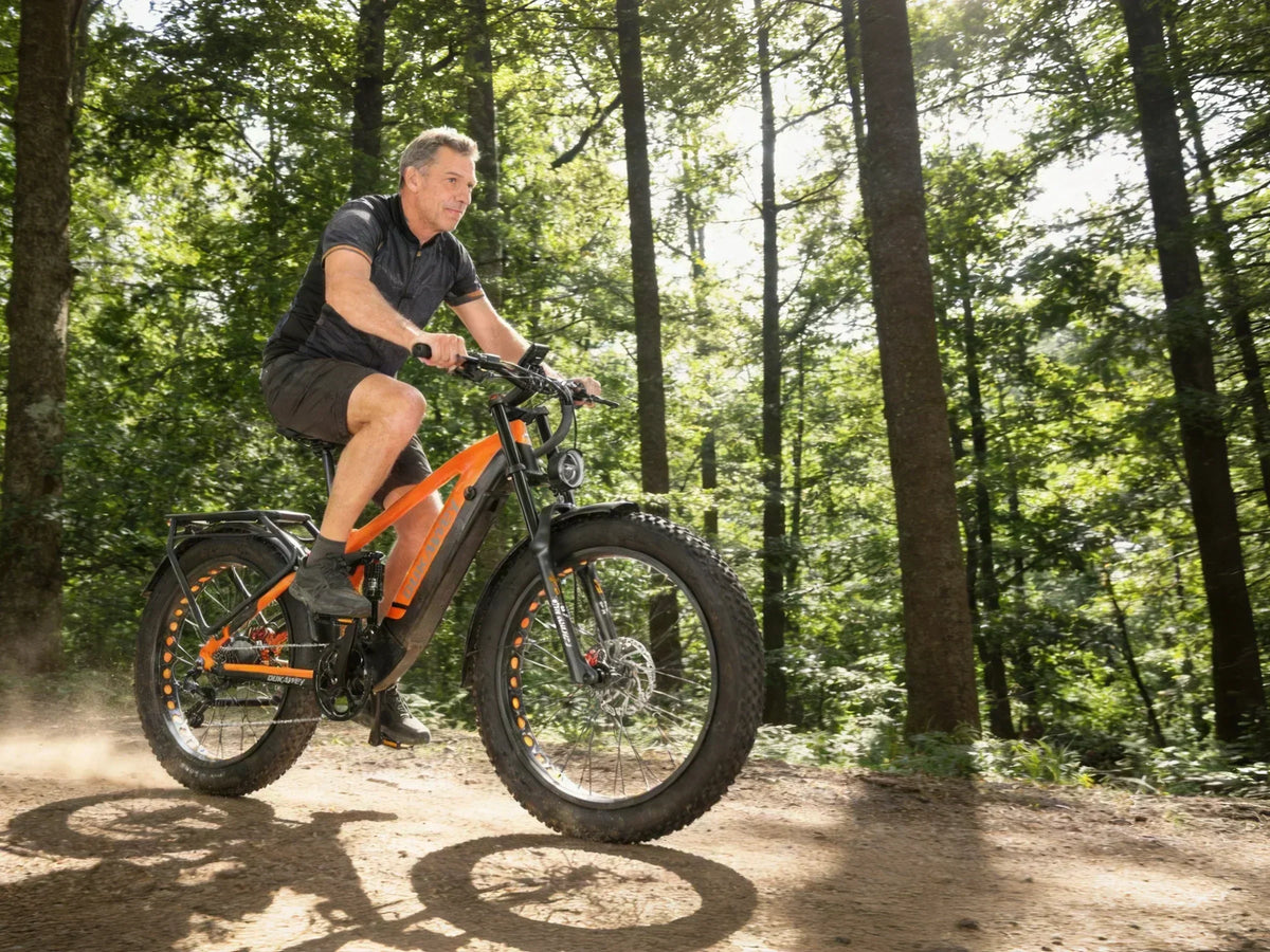 Electric Fat Bike: Why Choose This Type of E-Bike?