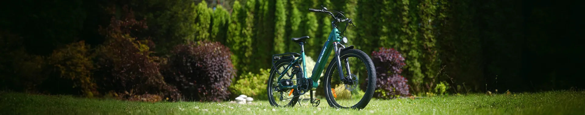 Step Through Ebikes