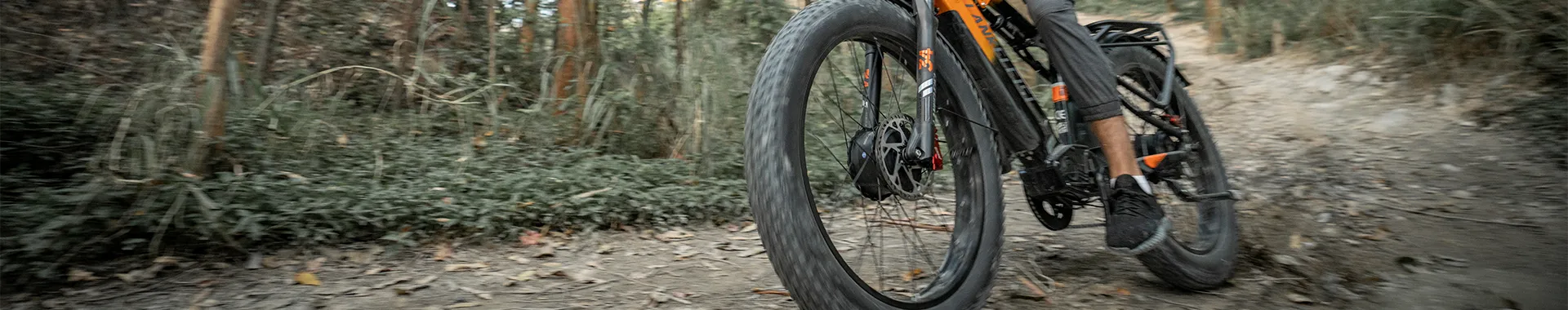 Explore rugged trails with confidence. Our electric mountain bikes feature powerful motors, full suspension, and long-range batteries for off-road adventures.