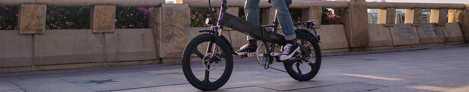 Mini & Small E Bike