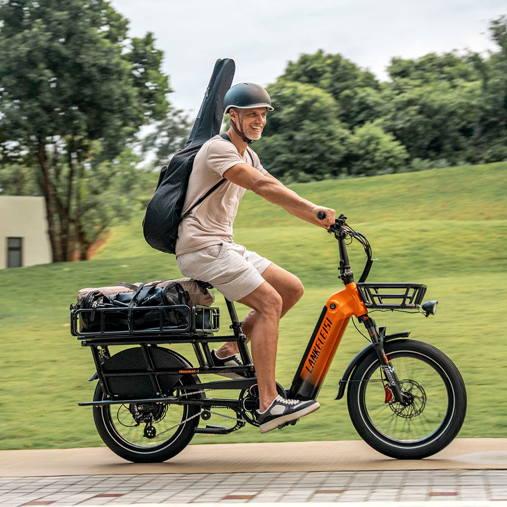 LANKELEISI Wombat-1 Cargo 20-inch Electric Bicycle 48V1000W With Torque Sensor 20Ah Battery LANKELEISI