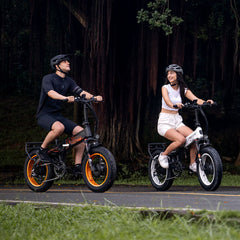 LANKELEISI X2000MAX Fat Tire Foldable Electric Bike Front And Rear Drive 2000W Motor LANKELEISI