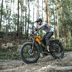 LANKELEISI MG800 Max Dual Motor EBike LANKELEISI