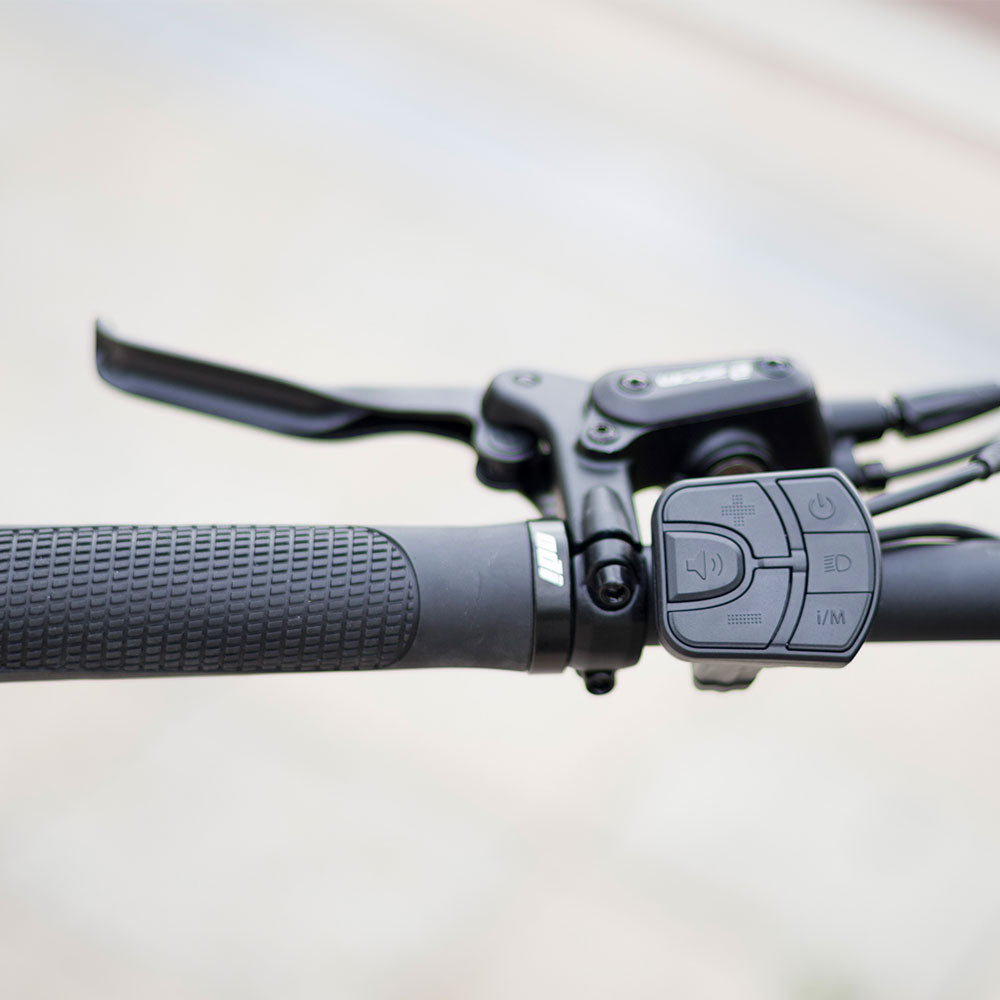 Lankeleisi RX600PRO 250W 29" Electric Mountain Bike | 48V 20Ah Samsung Battery, Torque Sensor EMTB Gleecycle
