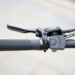 Lankeleisi RX600PRO 250W 29" Electric Mountain Bike | 48V 20Ah Samsung Battery, Torque Sensor EMTB Gleecycle