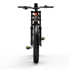 LANKELEISI RV800PLUS Mountain Electric Bike LANKELEISI