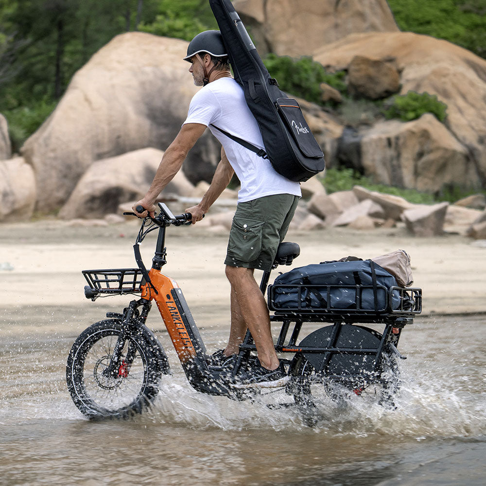 LANKELEISI Wombat-1 Cargo 20-inch Electric Bicycle 48V1000W With Torque Sensor 20Ah Battery LANKELEISI