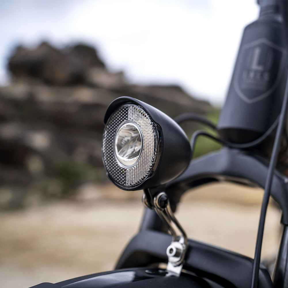 LANKELEISI X2000MAX Fat Tire Foldable Electric Bike Front And Rear Drive 2000W Motor LANKELEISI