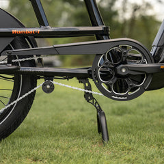LANKELEISI Wombat-1 Cargo 20-inch Electric Bicycle 48V1000W With Torque Sensor 20Ah Battery LANKELEISI