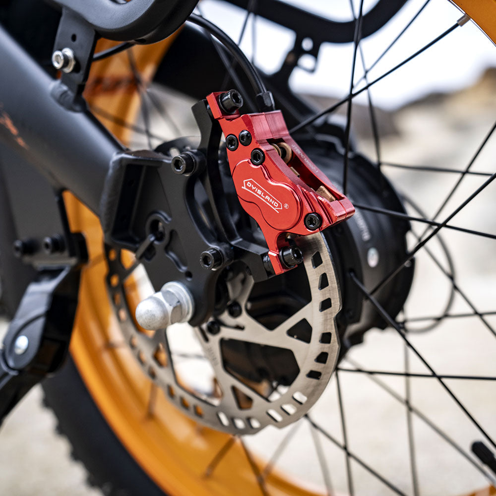 LANKELEISI X2000MAX Fat Tire Foldable Electric Bike Front And Rear Drive 2000W Motor LANKELEISI