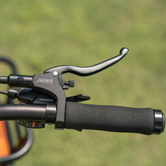 LANKELEISI Wombat-1 Cargo 20-inch Electric Bicycle 48V1000W With Torque Sensor 20Ah Battery LANKELEISI
