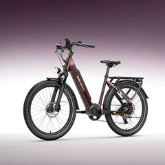 Dukawey FUGL3.0 250W 26 inch Electric Trekking Bike SUV E-bike with Torque Sensor 48V14Ah Battery Dukawey