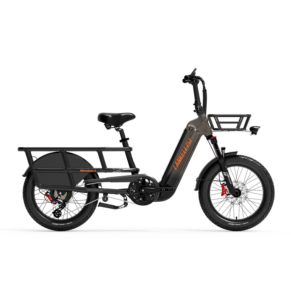 LANKELEISI Wombat-1 Cargo 20-inch Electric Bicycle 48V1000W With Torque Sensor 20Ah Battery LANKELEISI
