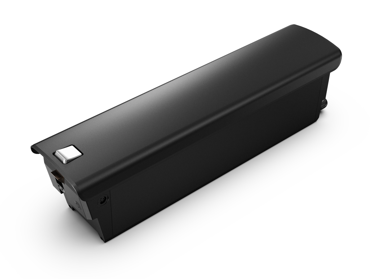 48V 20Ah Lithium Battery For for Lankeleisi Wombat-1