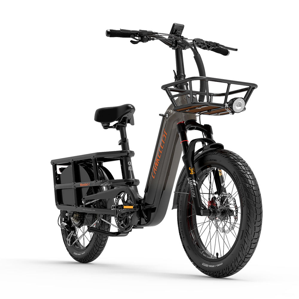 LANKELEISI Wombat-1 Cargo 20-inch Electric Bicycle 48V1000W With Torque Sensor 20Ah Battery LANKELEISI