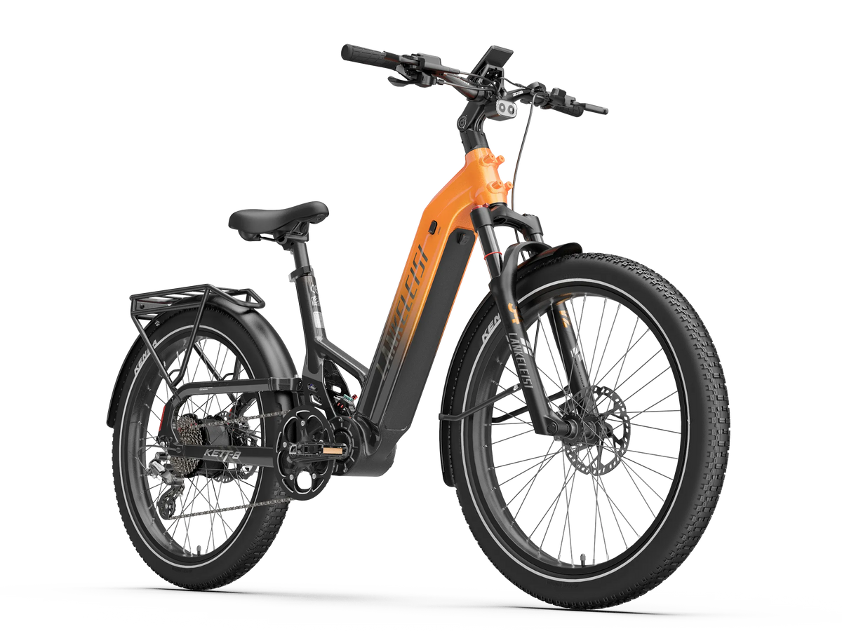 LANKELEISI KETT-8