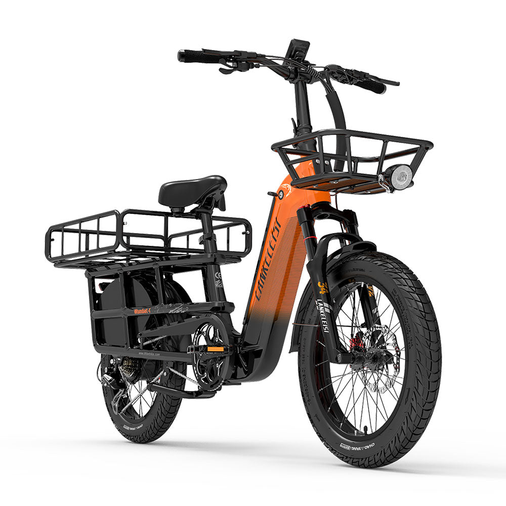 LANKELEISI Wombat-1 Cargo 20-inch Electric Bicycle 48V1000W With Torque Sensor 20Ah Battery LANKELEISI