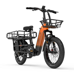 LANKELEISI Wombat-1 Cargo 20-inch Electric Bicycle 48V1000W With Torque Sensor 20Ah Battery LANKELEISI