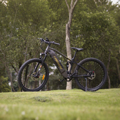 Lankeleisi RX600PRO 250W 29" Electric Mountain Bike | 48V 20Ah Samsung Battery, Torque Sensor EMTB Gleecycle