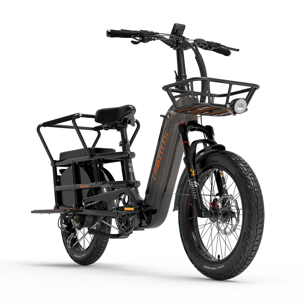 LANKELEISI Wombat-1 Cargo 20-inch Electric Bicycle 48V1000W With Torque Sensor 20Ah Battery LANKELEISI