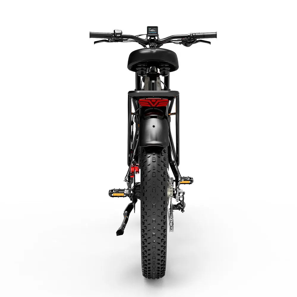 LANKELEISI MG800 Max Dual Motor EBike LANKELEISI