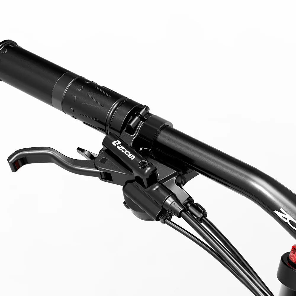 LANKELEISI RV800PLUS Mountain Electric Bike LANKELEISI