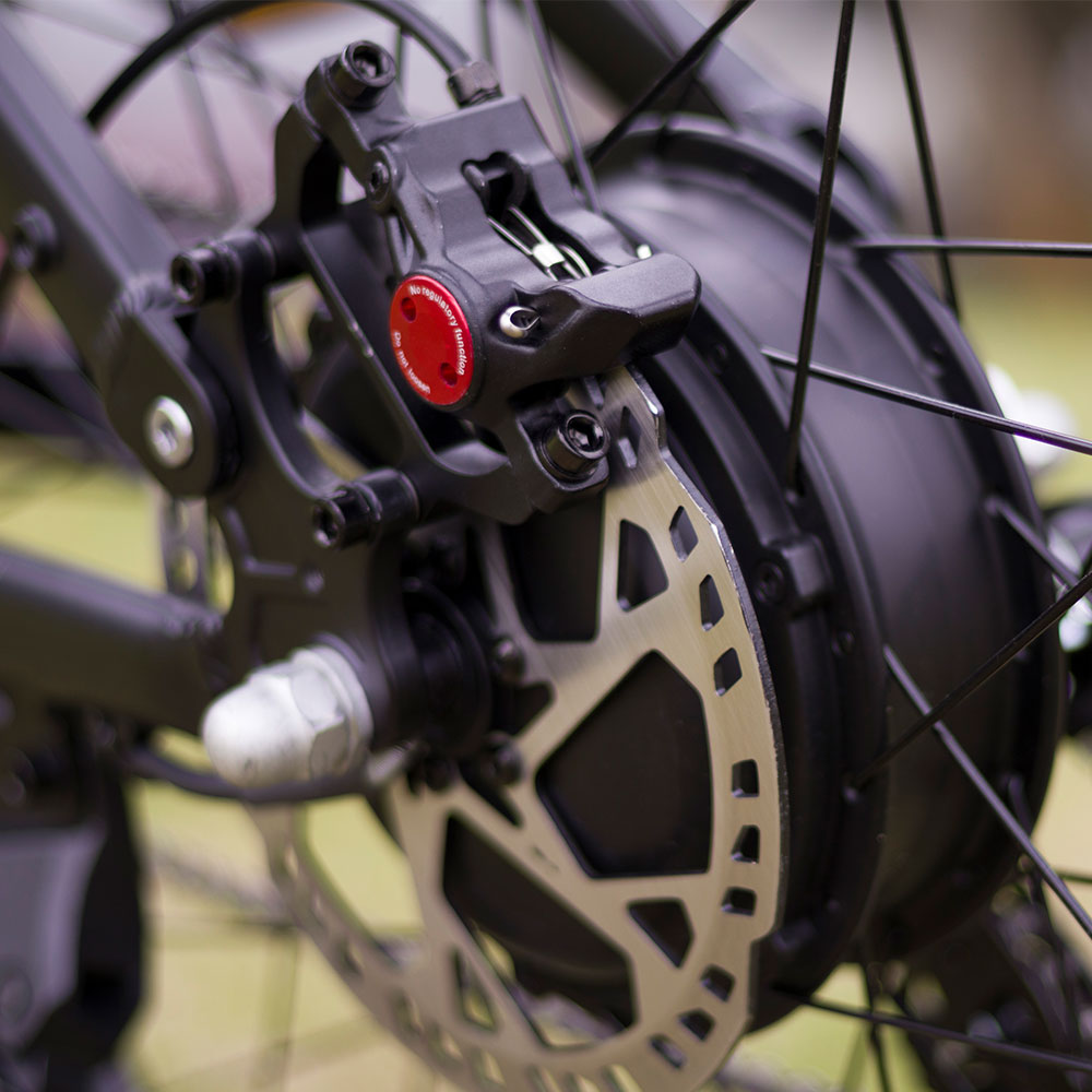 Lankeleisi RX600PRO 250W 29" Electric Mountain Bike | 48V 20Ah Samsung Battery, Torque Sensor EMTB Gleecycle