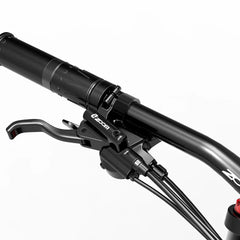 LANKELEISI RV800PLUS Mountain Electric Bike LANKELEISI