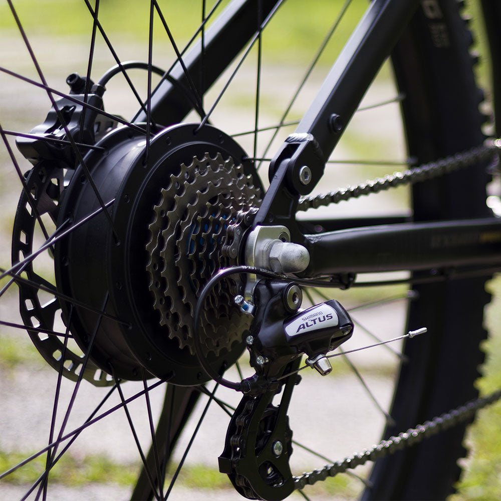 Lankeleisi RX600PRO 250W 29" Electric Mountain Bike | 48V 20Ah Samsung Battery, Torque Sensor EMTB Gleecycle