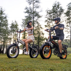 LANKELEISI X2000MAX Fat Tire Foldable Electric Bike Front And Rear Drive 2000W Motor LANKELEISI