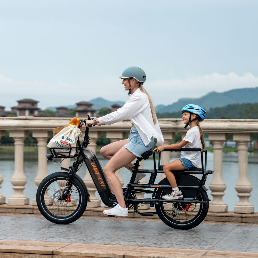 LANKELEISI Wombat-1 Cargo 20-inch Electric Bicycle 48V1000W With Torque Sensor 20Ah Battery LANKELEISI