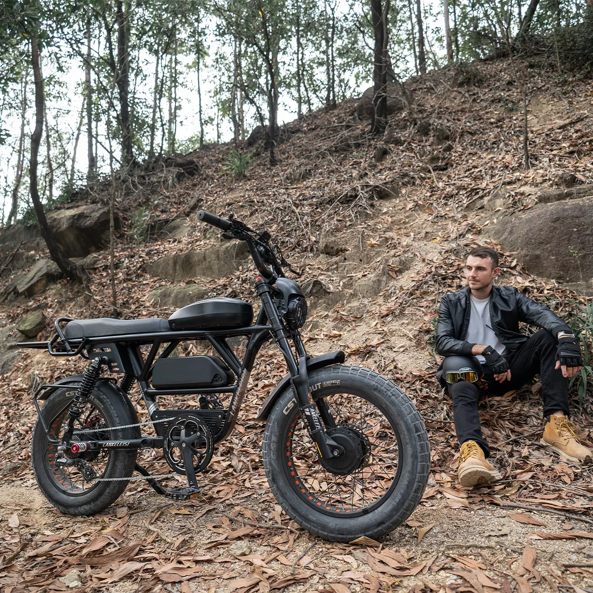 Dual Motor E Bike