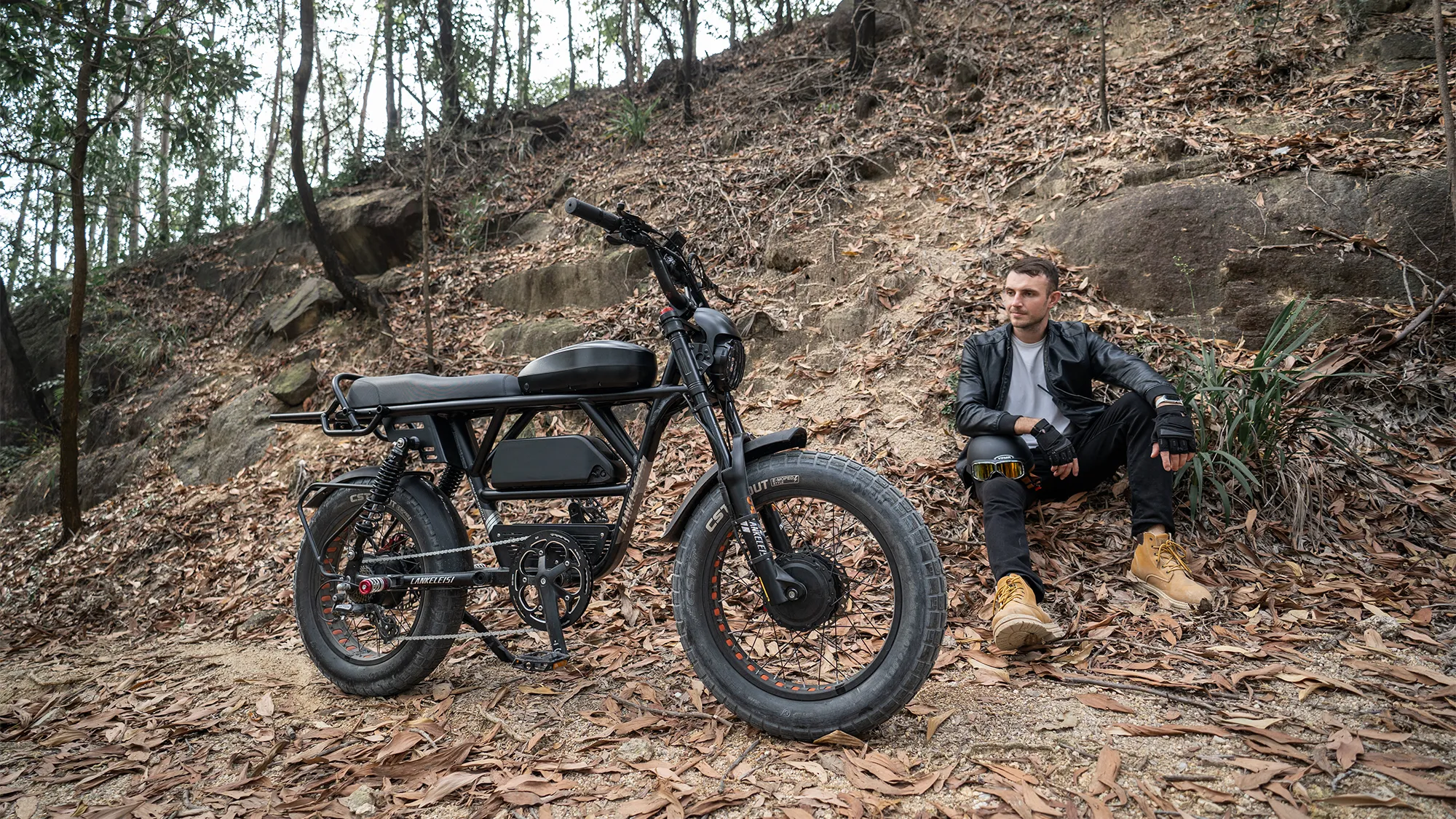 Dual Motor E Bike
