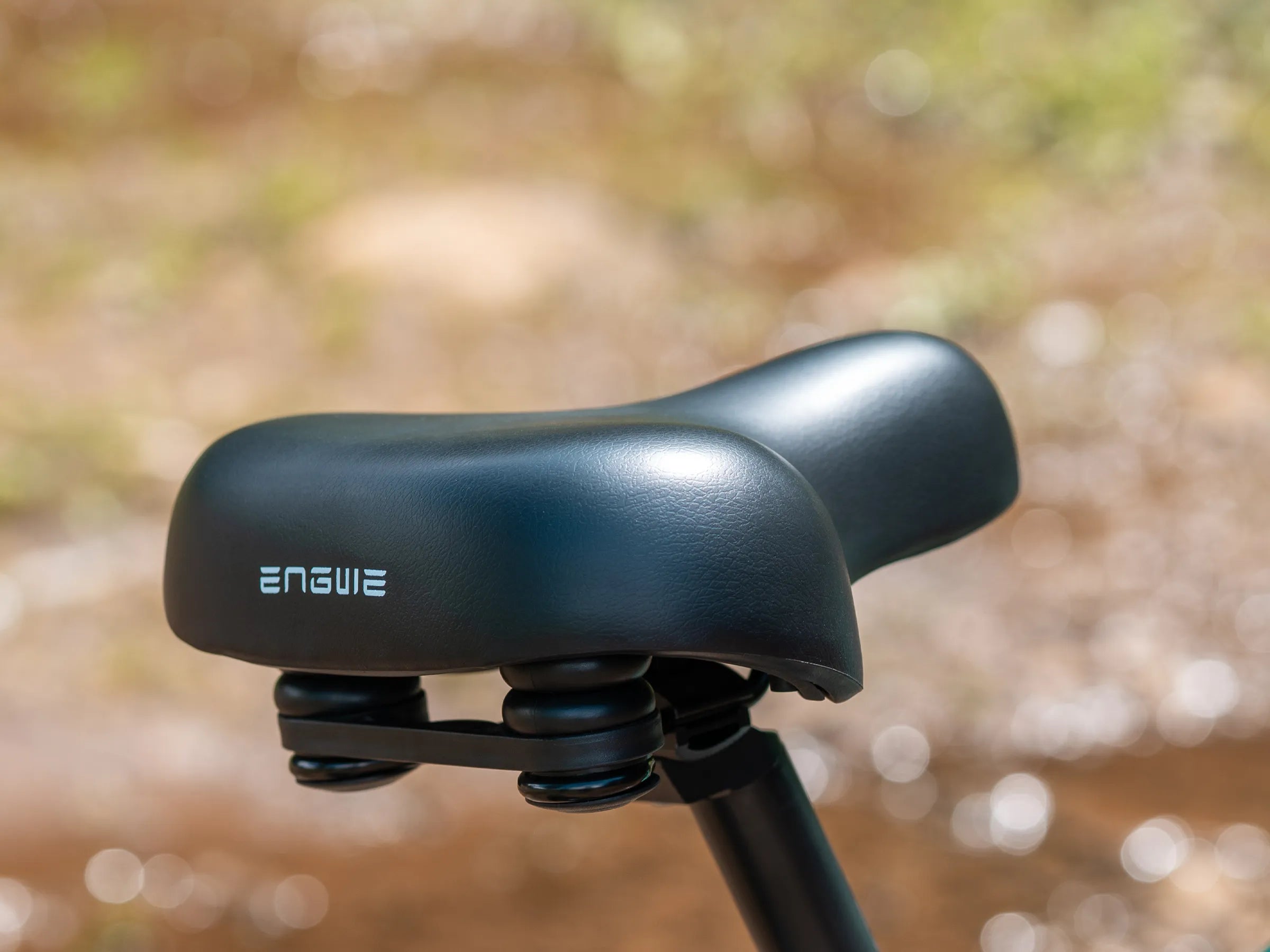 ENGWE EP-2 3.0 Boost