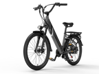 LANKELEISI ES500PRO