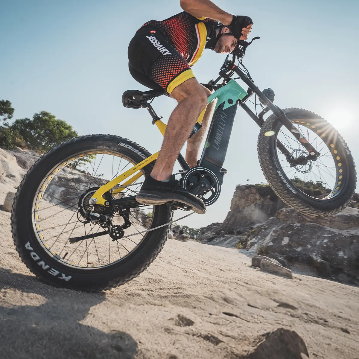 Fat Tire E Bike