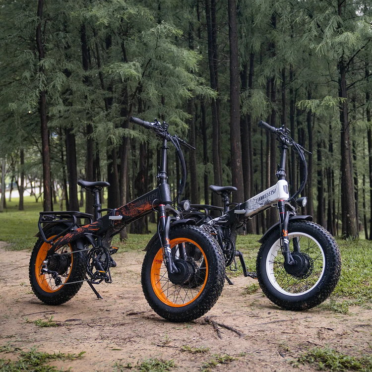 Folding E Bike