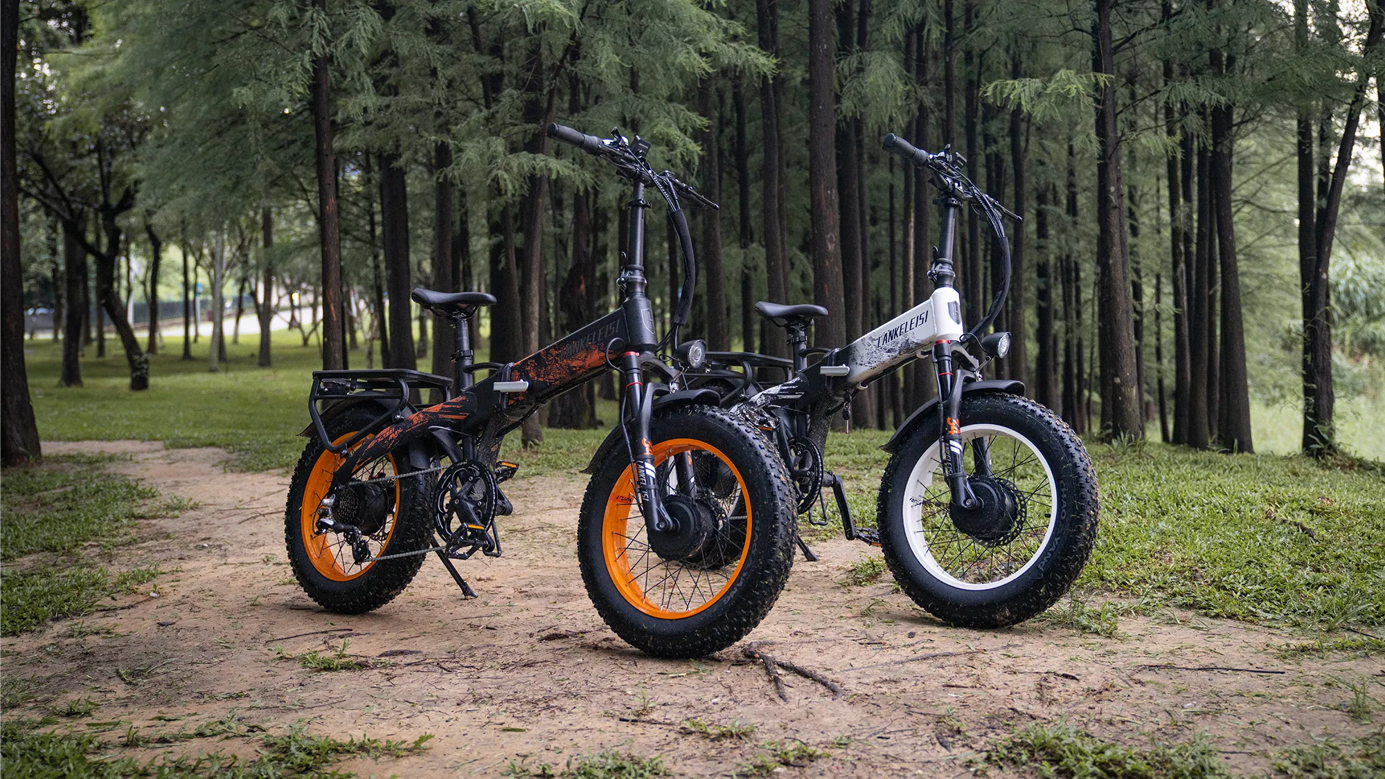 Folding E Bike