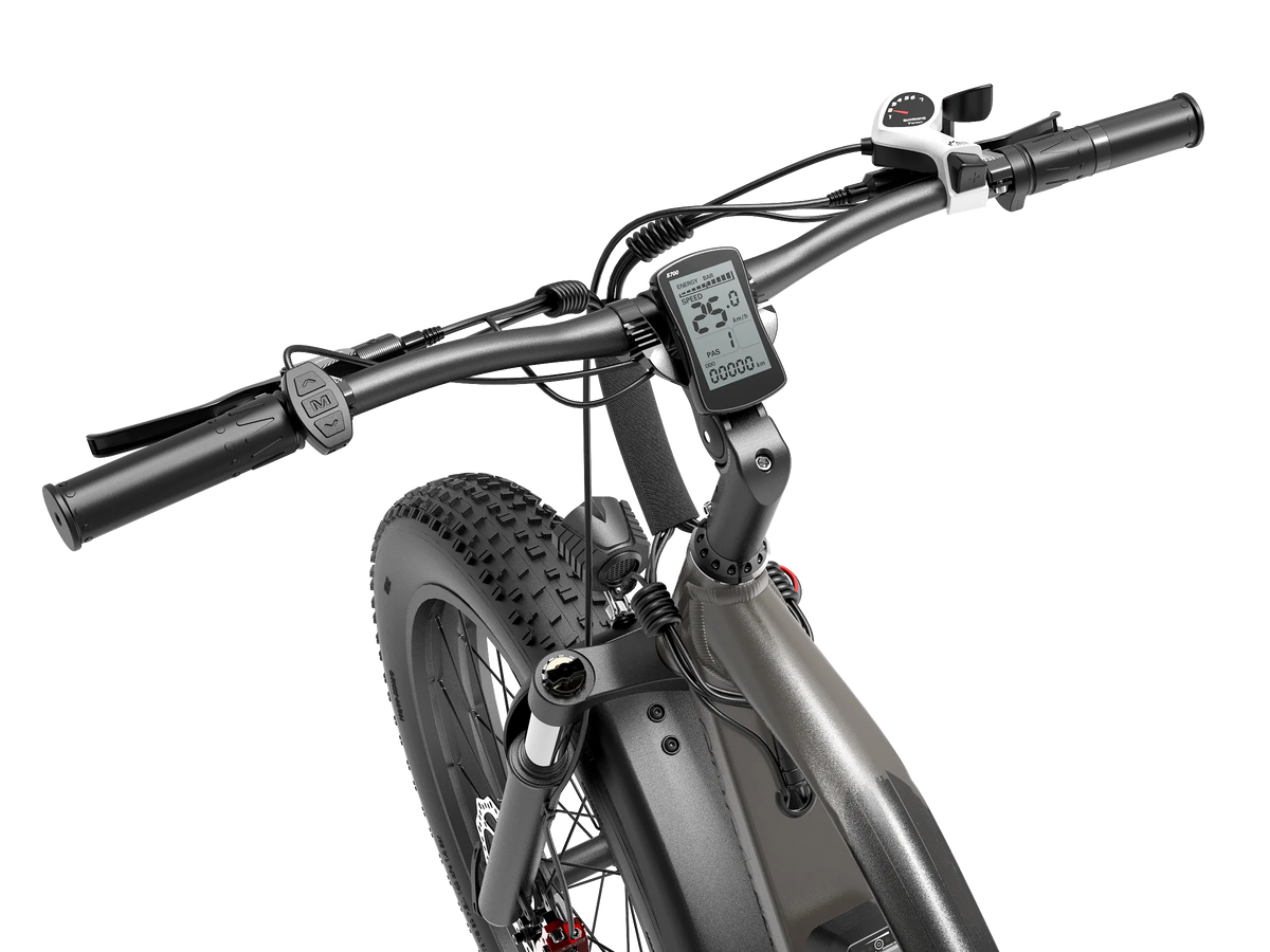 GOGOBEST GF600 PLUS 1000W Electric Bicycle 26 inches Fat Tire E Mountain  Bike – Gleecycle