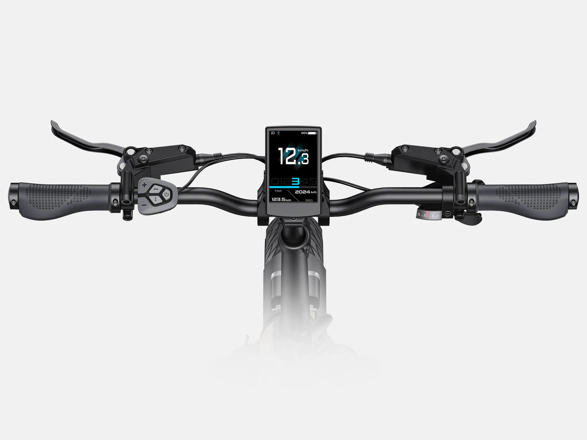 ENGWE L20 3.0 PRO