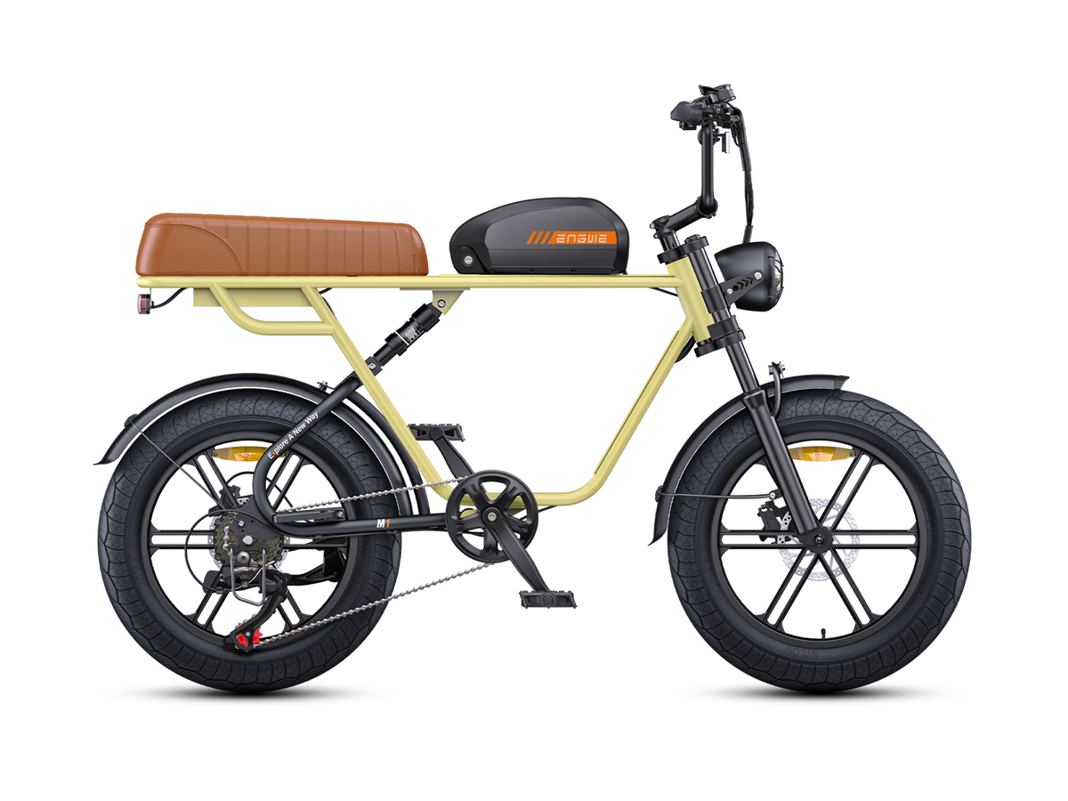 ENGWE M1