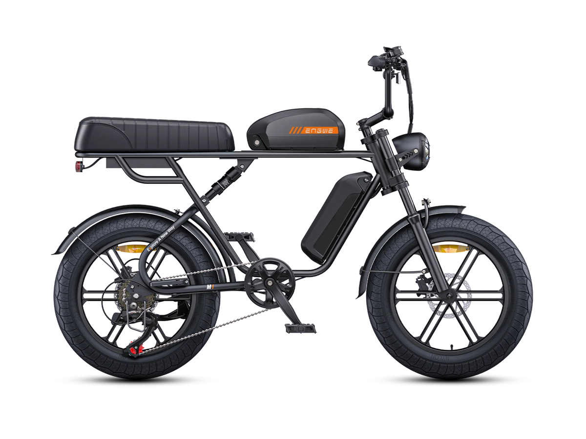 ENGWE M1