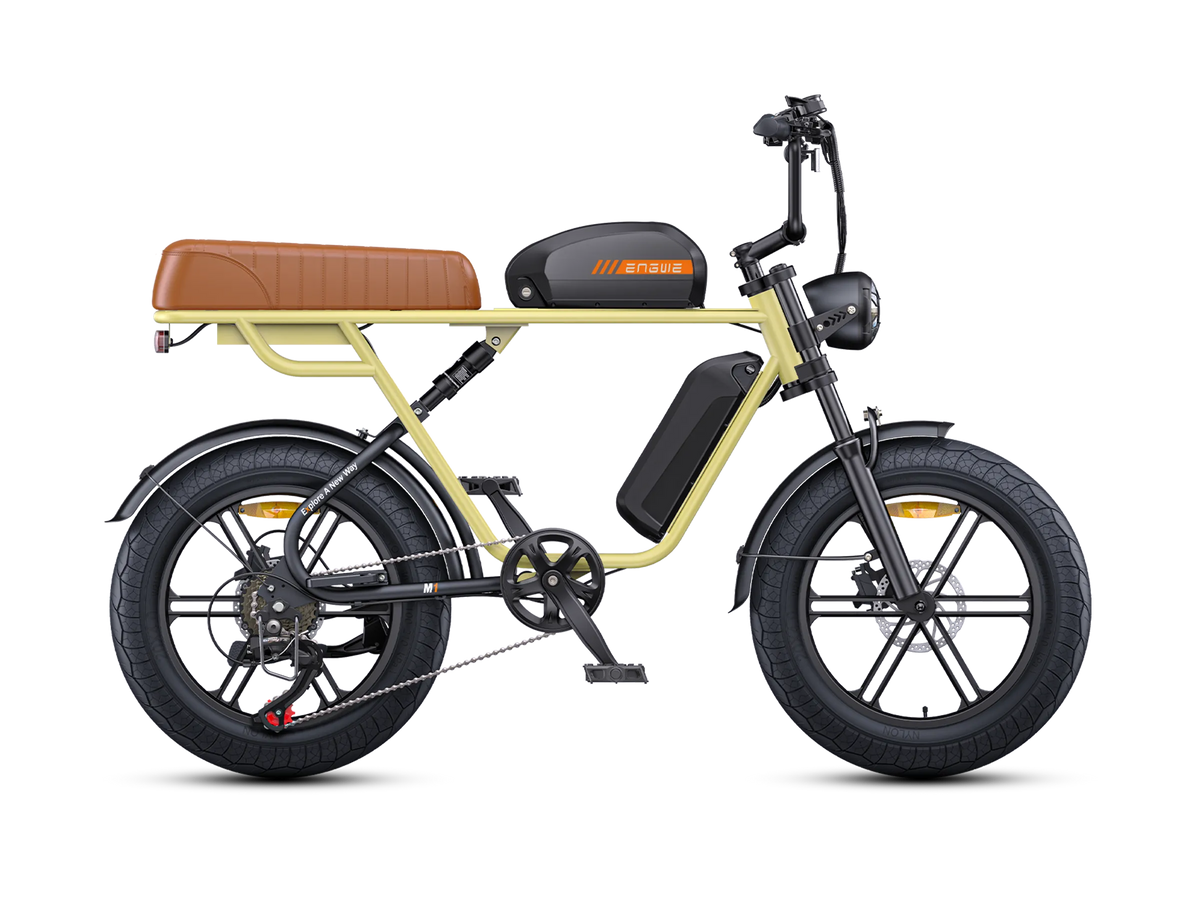 ENGWE M1