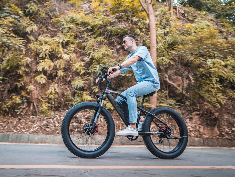 LANKELEISI MG740PLUS - Mobile Scene