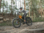 Lankeleisi MG800 MAX