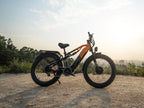 Lankeleisi MG800 MAX