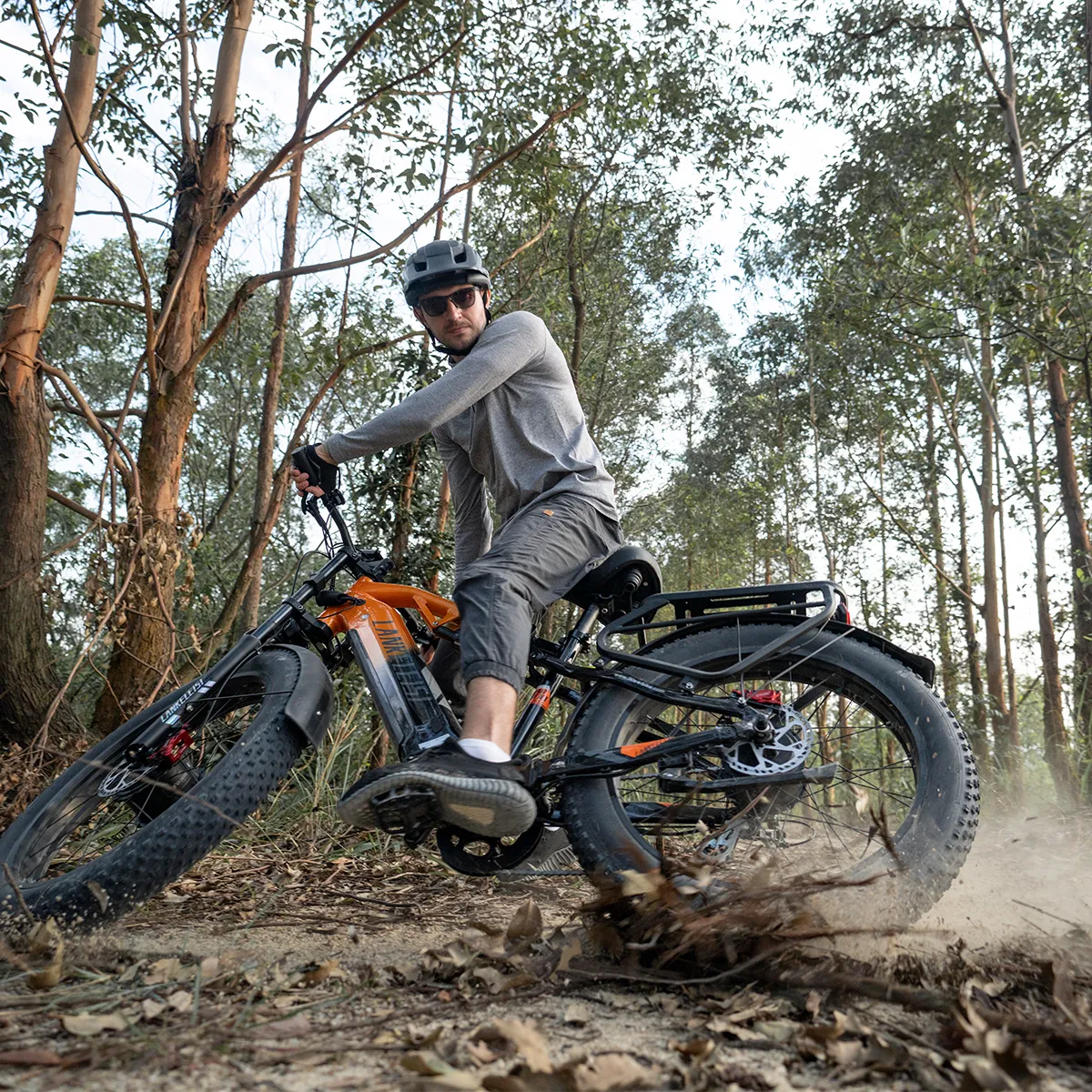 Mountain E Bike