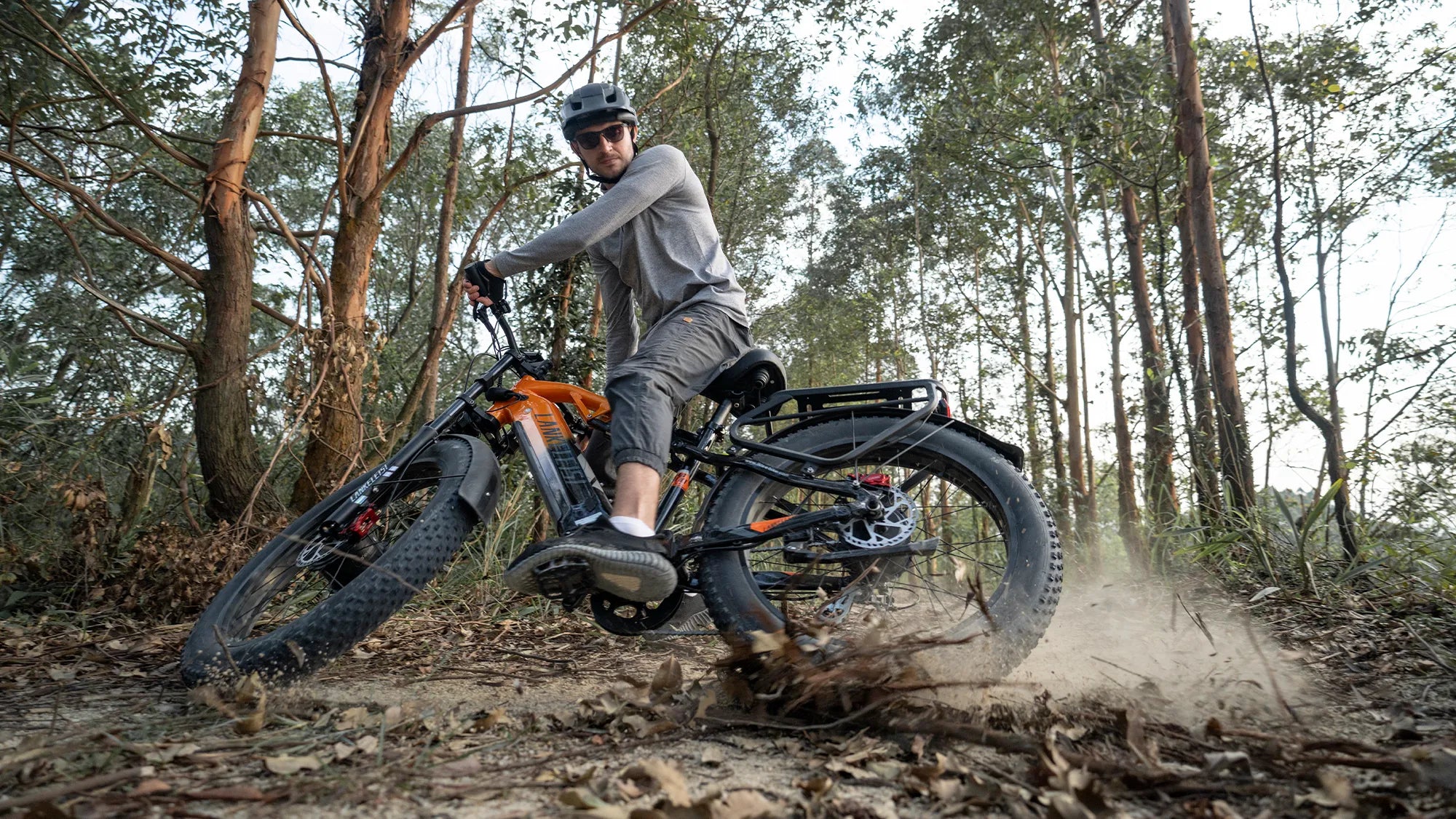 Mountain E Bike