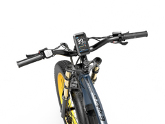 LANKELEISI RV700