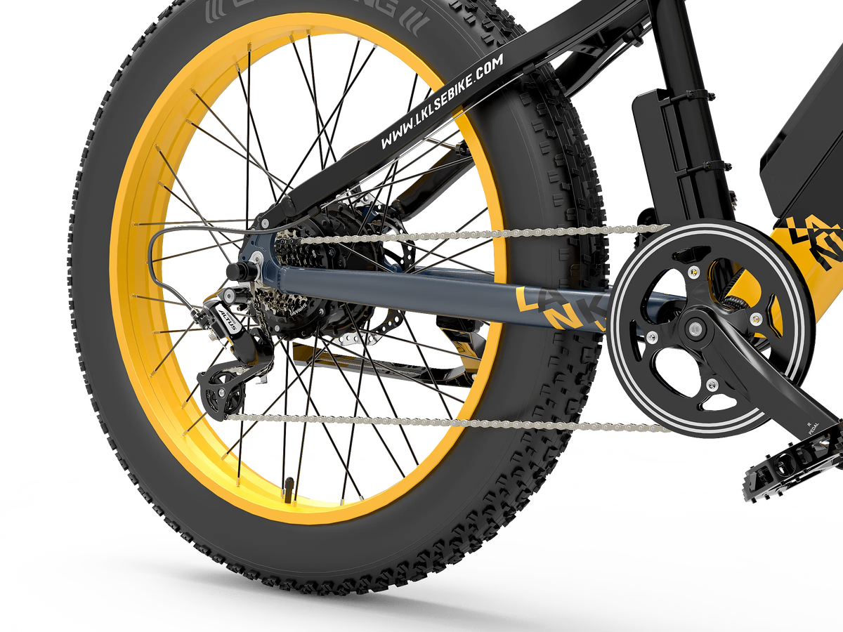 LANKELEISI RV700